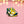 Load image into Gallery viewer, Moonie Shoes Enamel Pin
