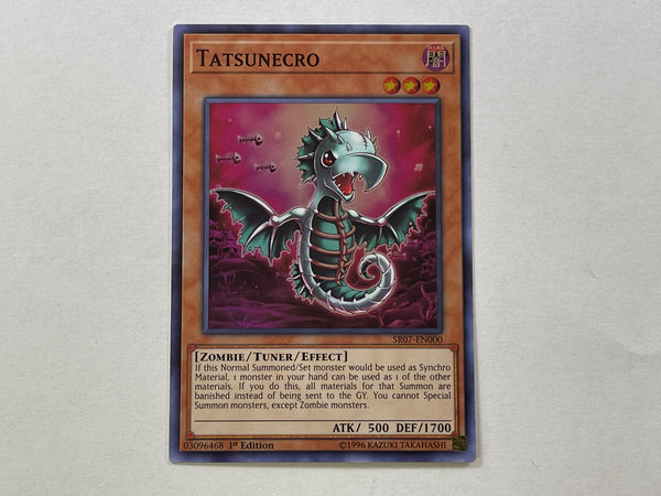 TATSUNECRO