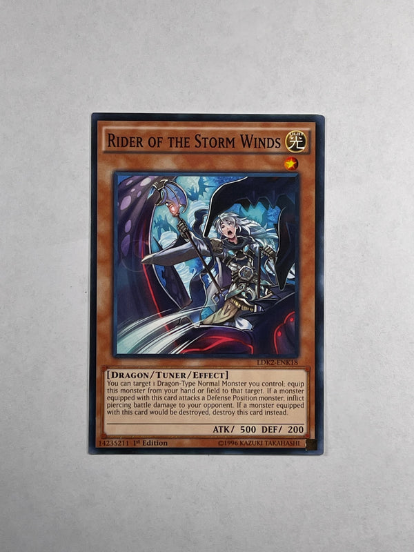 RIDER OF THE STORM WINDS