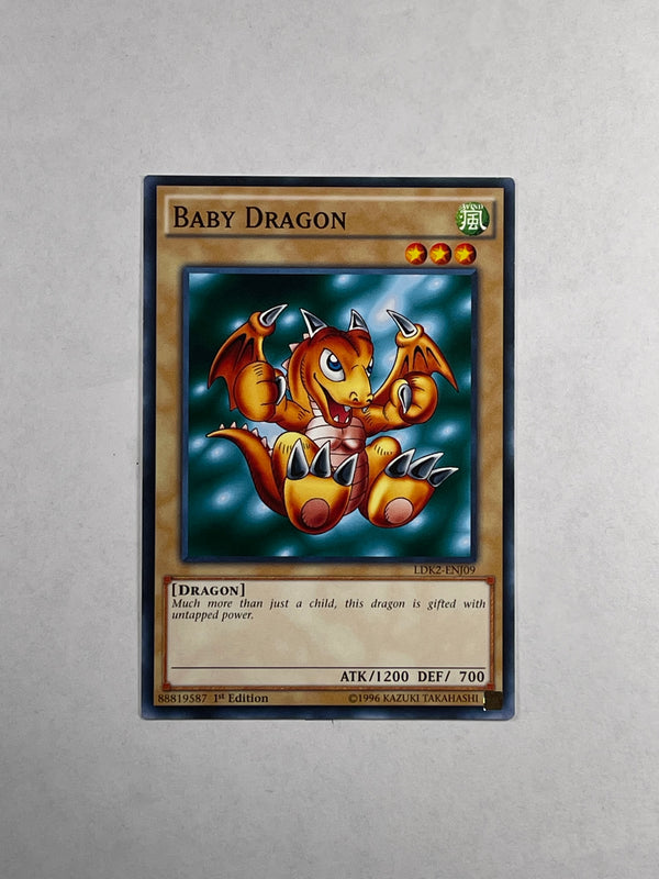 BABY DRAGON