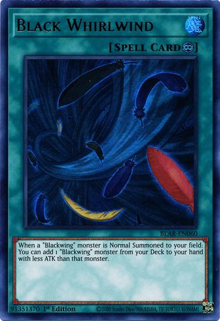 BLACK WHIRLWIND