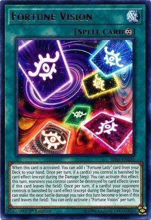 FORTUNE VISION