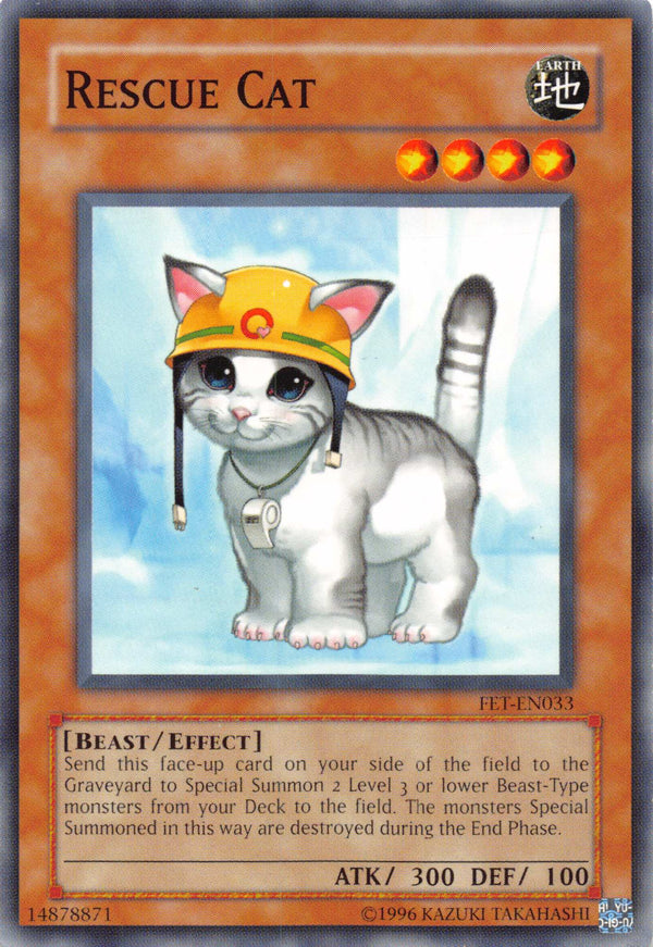 RESCUE CAT