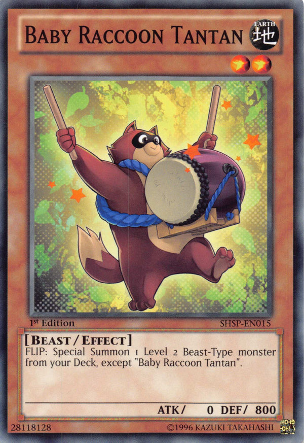 BABY RACOON TANTAN