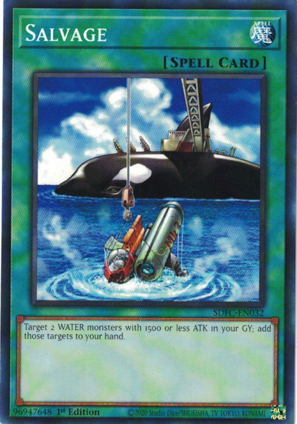 SALVAGE